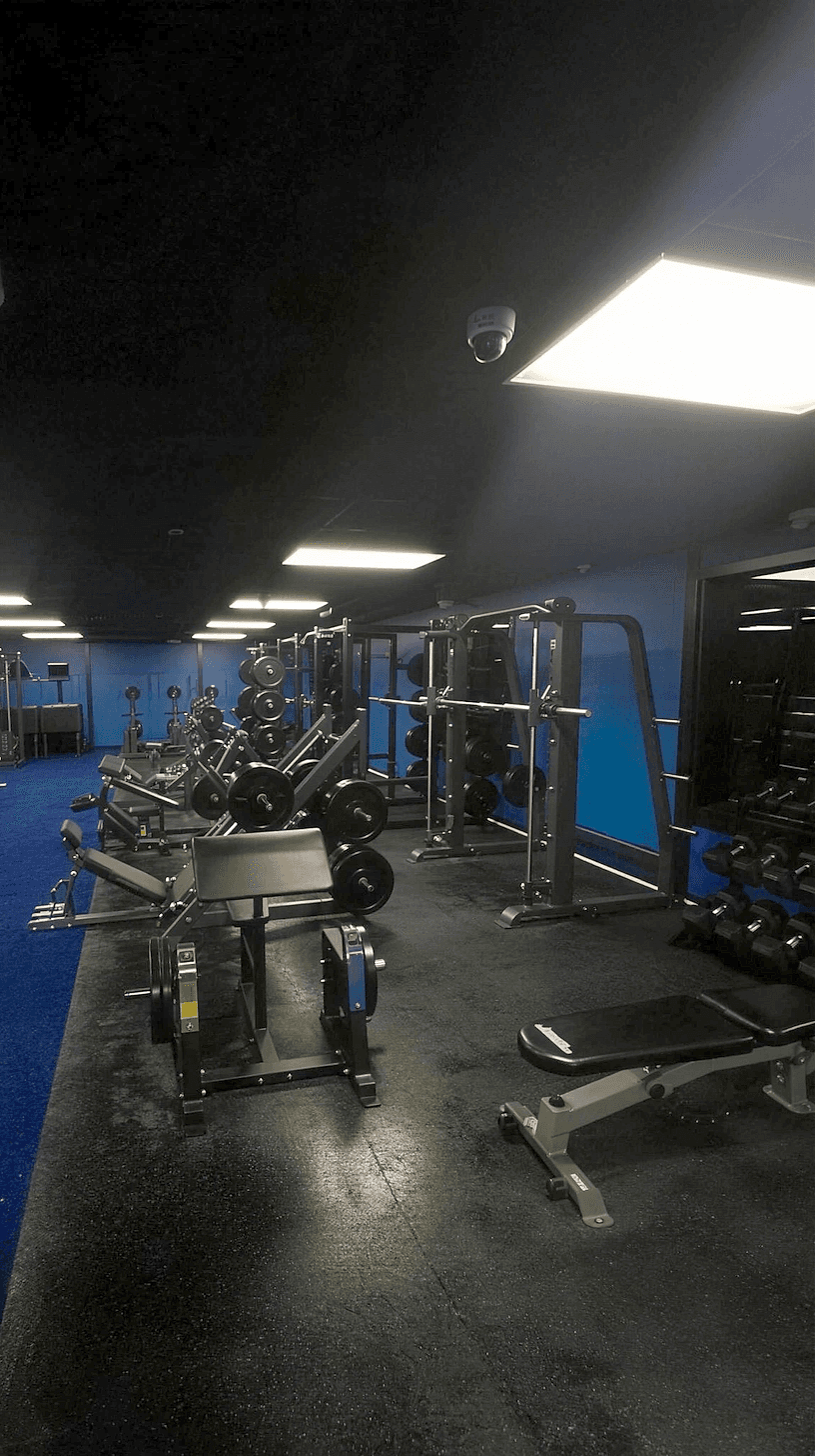 Members training on the weight floor at Live Well Fitness Center